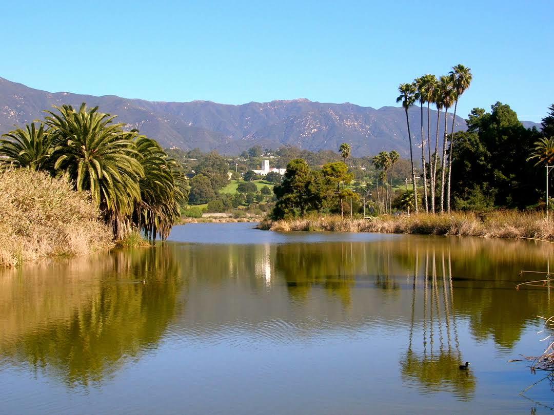 Andree Clark Vogelschutzgebiet