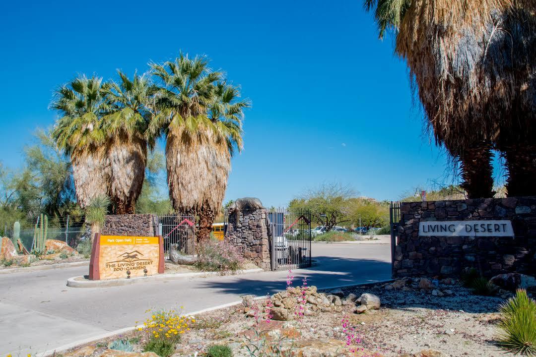 Zoo The Living Desert