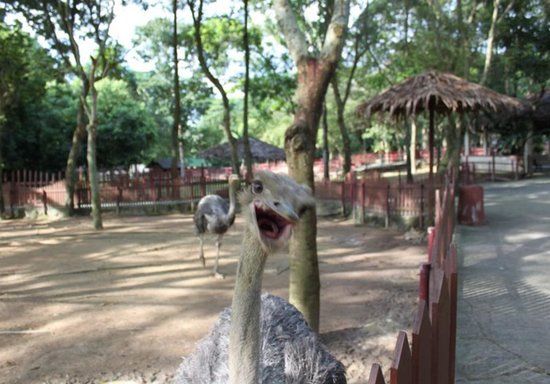 A'Famosa Safari Wonderland