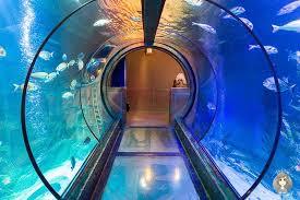 SEA LIFE Königswinter