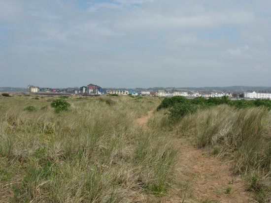Dawlish Warren Naturschutzgebiet