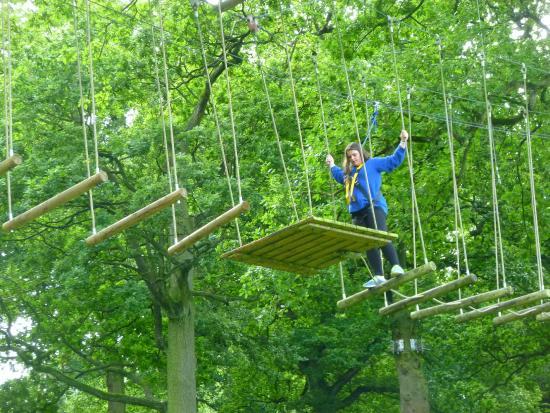 Aerial Extreme Staffordshire