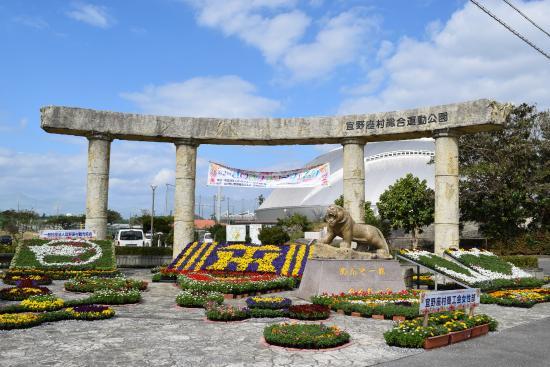 Kariyushi Hotels Ballpark Ginoza