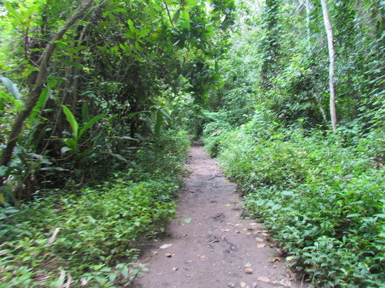 Nationalpark Carara
