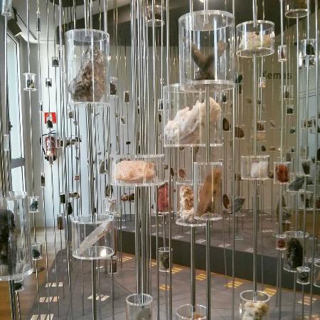 Museo de Historia Natural