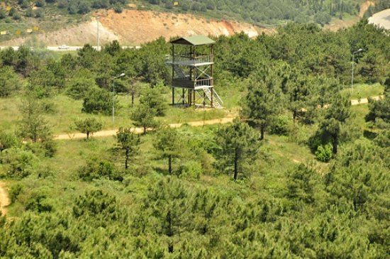 Gazilerdagi Tabiat Parki