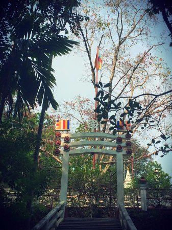 Bodhinagala Forest Hermitage