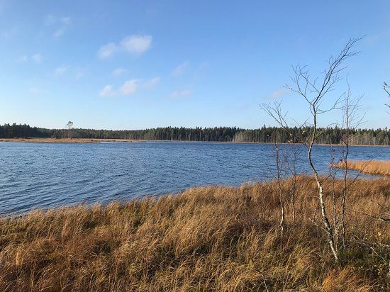Grössjön Nature Reserve