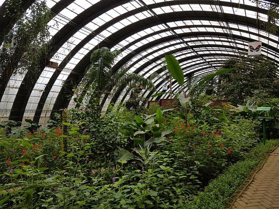 Abenteuerpark Selvatura