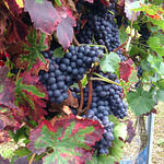 Eiscafè Piccolo Mondo