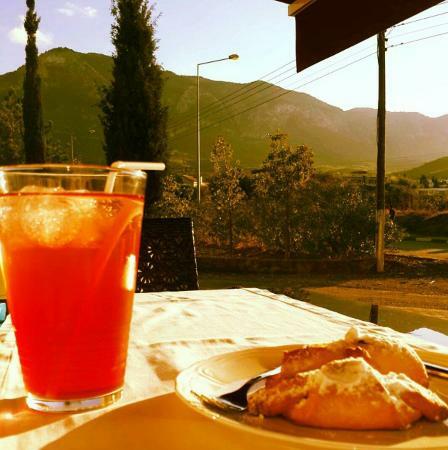 Nese Anibal Ev Yemekleri