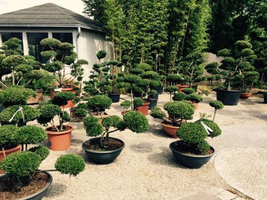 Pflanzenhandel Huben