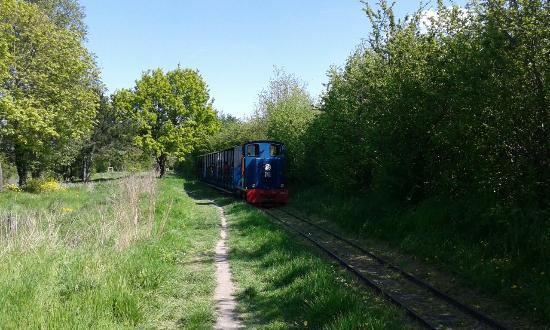 Parc des Chanteraines