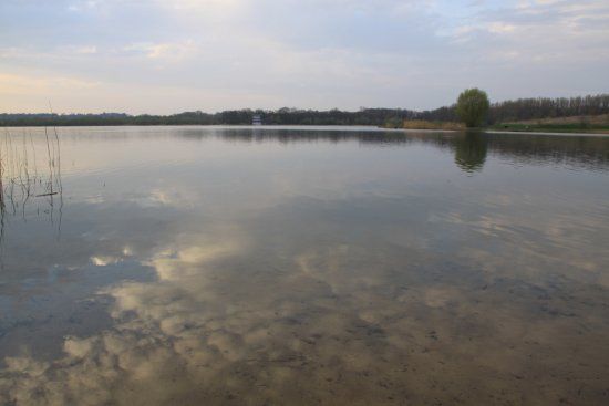 Stadtwaldsee