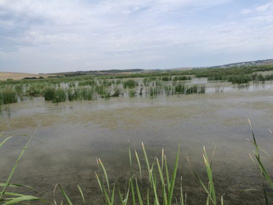 Sani Wetlands