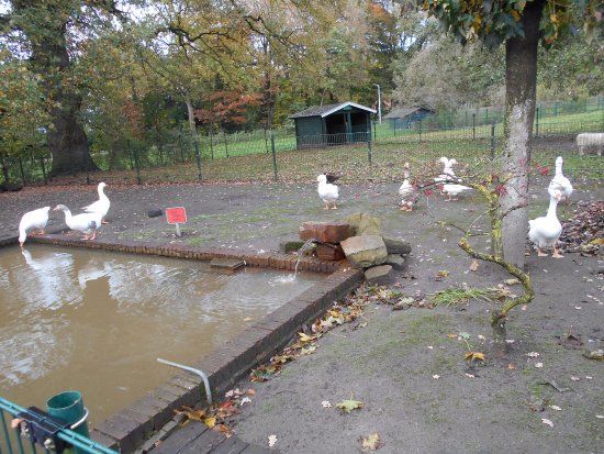 Stadsboerderij Beeklust