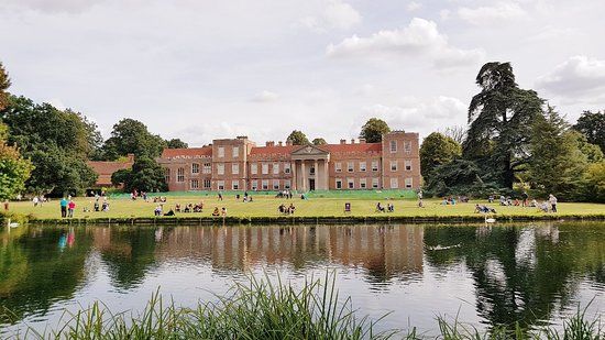The Vyne