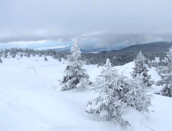 Naturpark Jura vaudois
