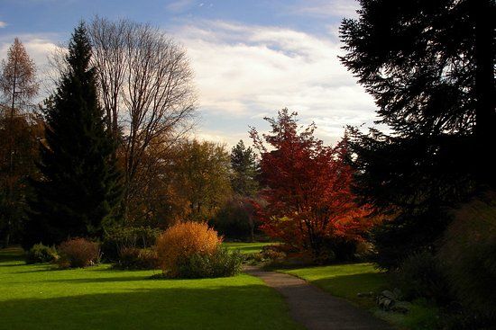 Jardin Botanique Alpin de Meyrin