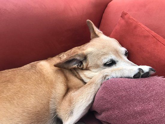 Jagdmärchenpark Hirschalm