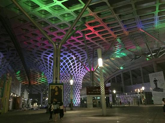 Shenzhen Bay Sports Center