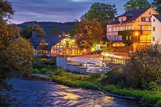 Hotel Breidenbacher Hof