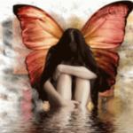 Old School Bagel Cafe