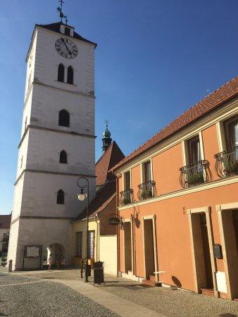 Cukrarna, cafe U Andela