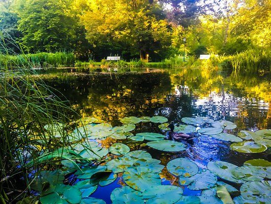Kurpark Bad Salzhausen