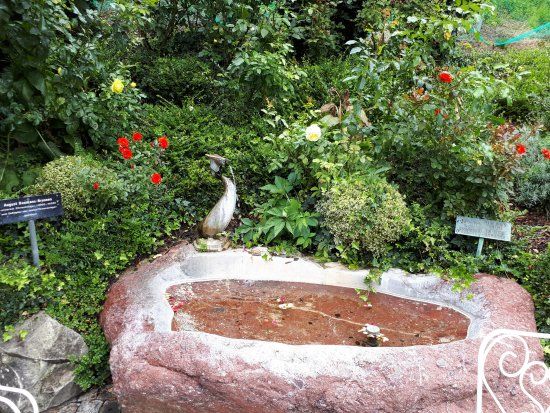 Rosengärten in Rapperswil