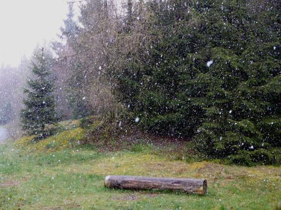 NationalparkZentrum Kellerwald