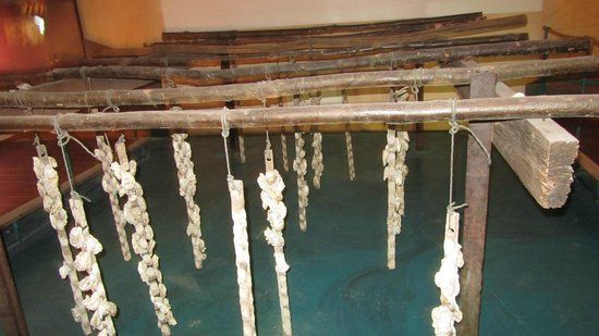 Musée de l'Etang de Thau