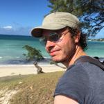 Dasaki Little Forest