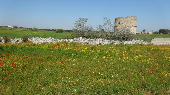 Torre Colombaia