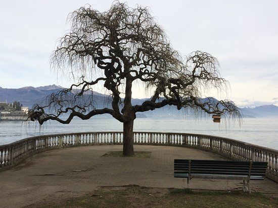 Botanischer Garten Alpinia