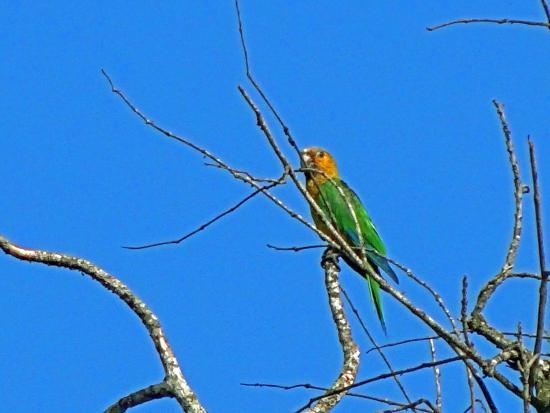 Eglise de Saint Michel