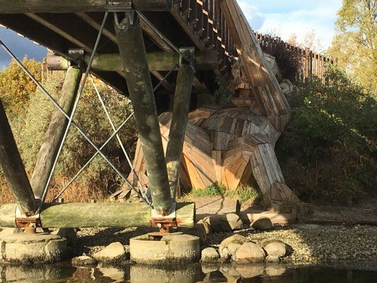 Oscar Under the Bridge