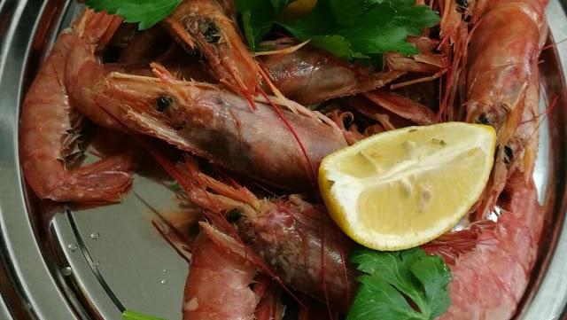 Pizzeria Trattoria Crudo