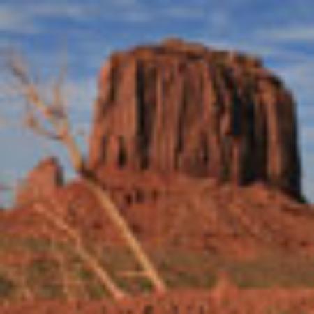 Burger King Bördepark