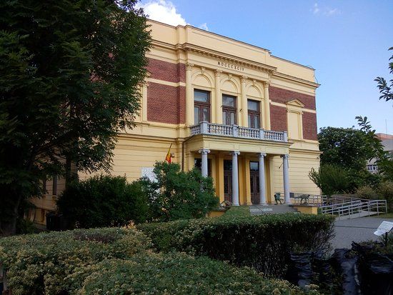 Natur Historisches Museum