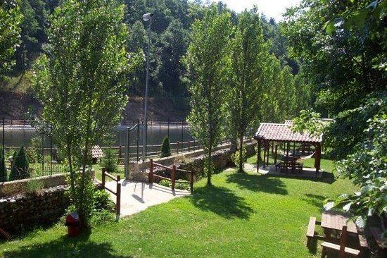 Bioittica della Sorgente