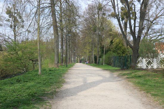 Göttinger Stadtwall