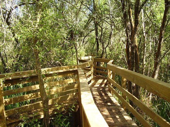 Percurso Salgueiral of Galicia Reserve