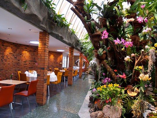 Tropical Plants Restaurant