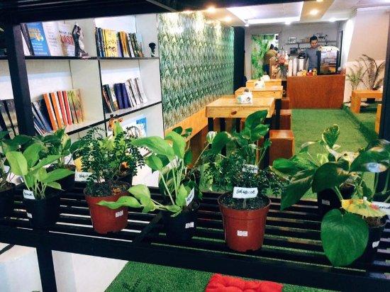 The Plant House Café