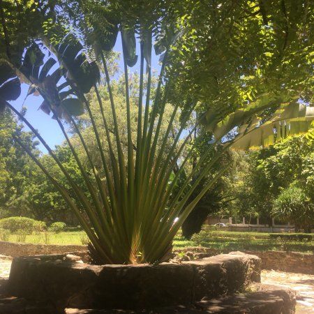 Botanischer Garten Daressalaam
