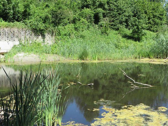 Naturschutzzentrum SVS