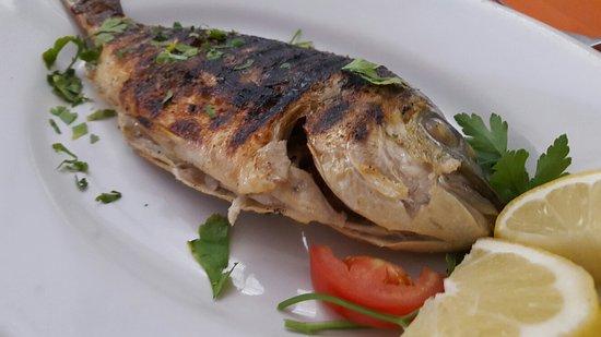 Taverna degli Artisti RistoPizza