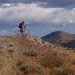 Restaurant Boccaccio