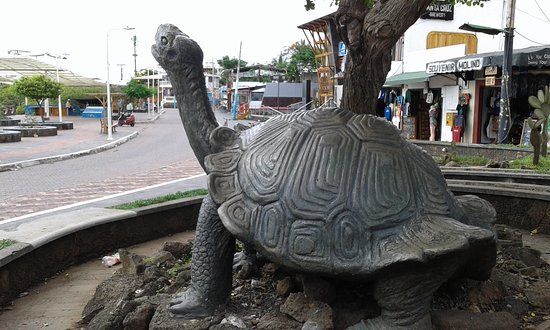 Monumento de la Tortuga